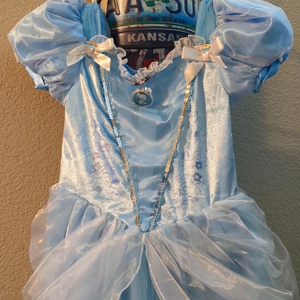 Disney Frozen Elsa Princess Dress L (9/10)